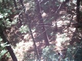 IMG_0192.jpg
