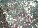 IMG_0193.jpg