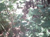 IMG_0195.jpg