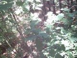 IMG_0198.jpg