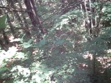 IMG_0199.jpg