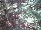 IMG_0201.jpg