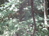 IMG_0202.jpg