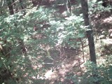 IMG_0203.jpg