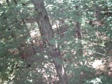 IMG_0205.jpg