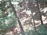 IMG_0206.jpg