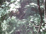 IMG_0208.jpg