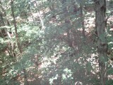 IMG_0210.jpg