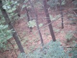 IMG_0213.jpg