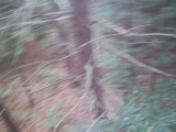 IMG_0214.jpg
