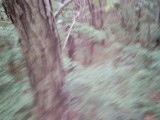 IMG_0216.jpg