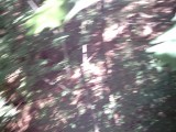 IMG_0218.jpg
