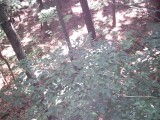 IMG_0221.jpg