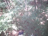 IMG_0225.jpg