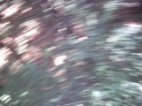 IMG_0226.jpg