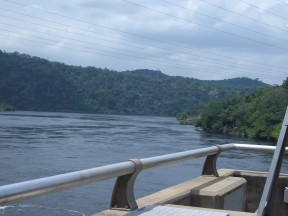 IMGP0311.jpg