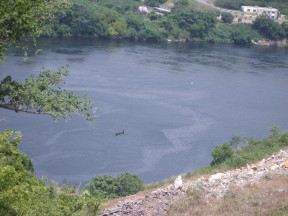 IMGP0326.jpg